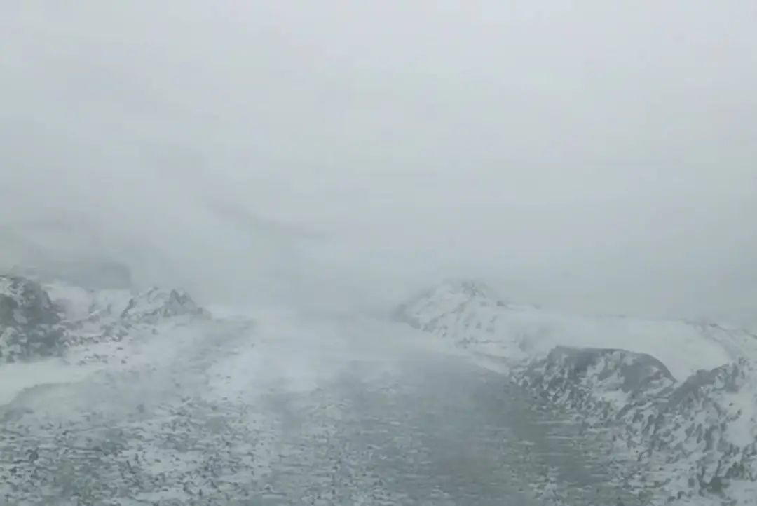 w88win优德(中国)官方网站