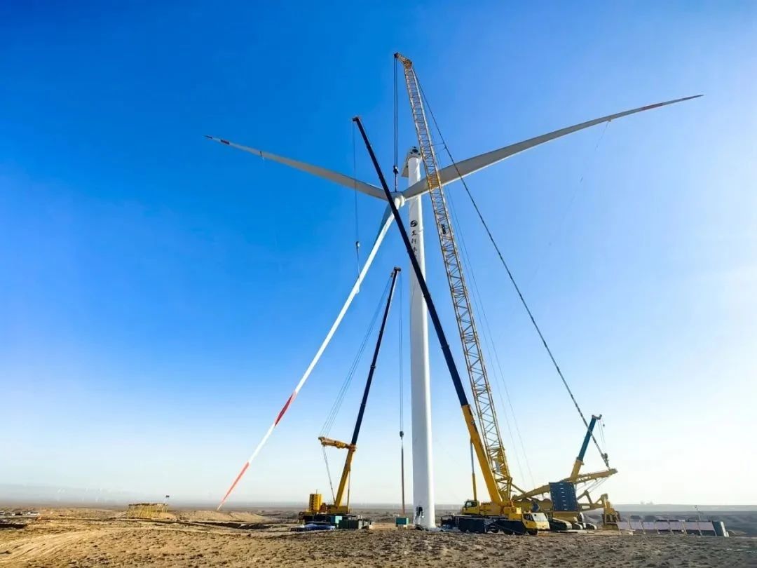 w88win优德(中国)官方网站