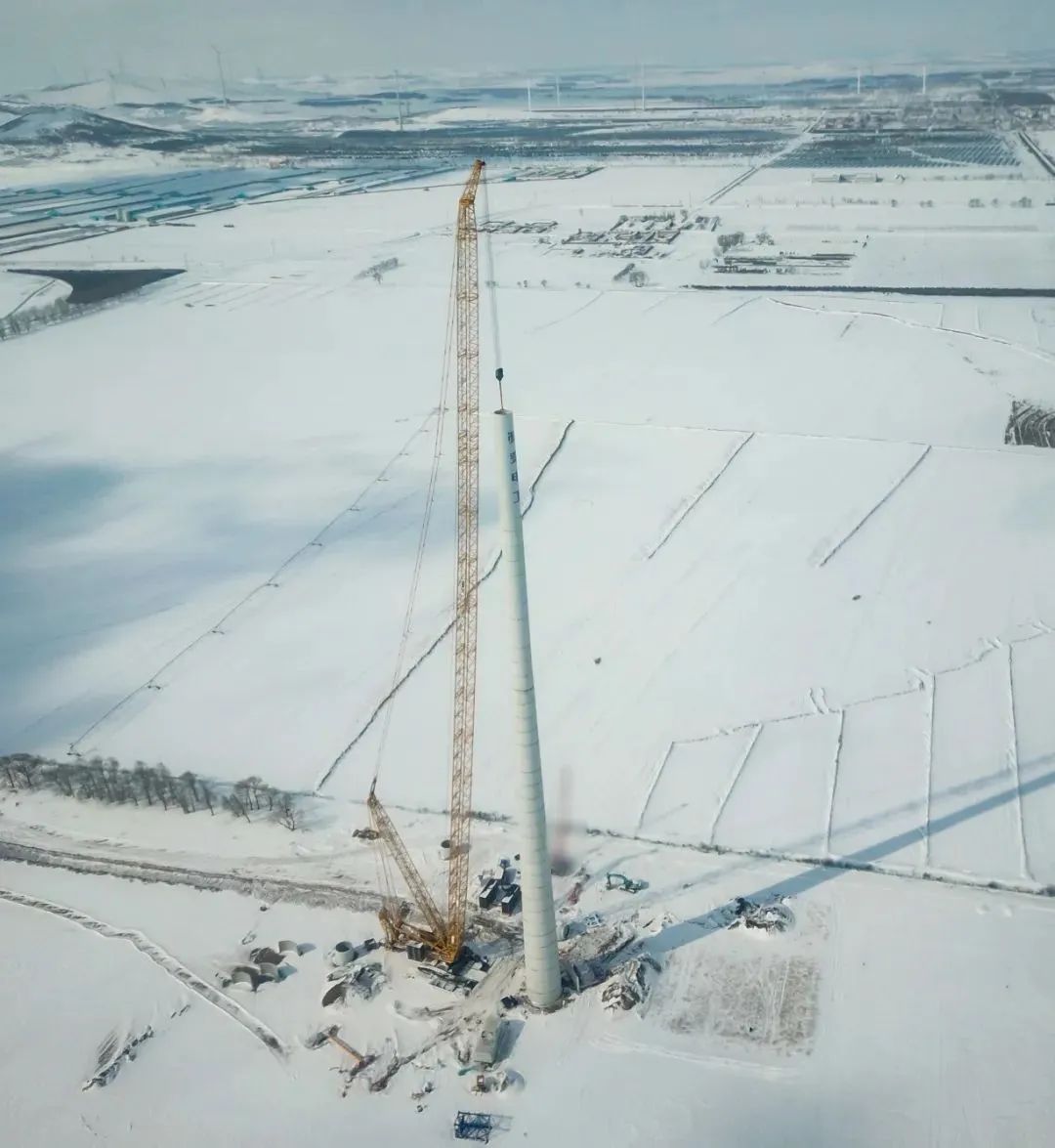 w88win优德(中国)官方网站