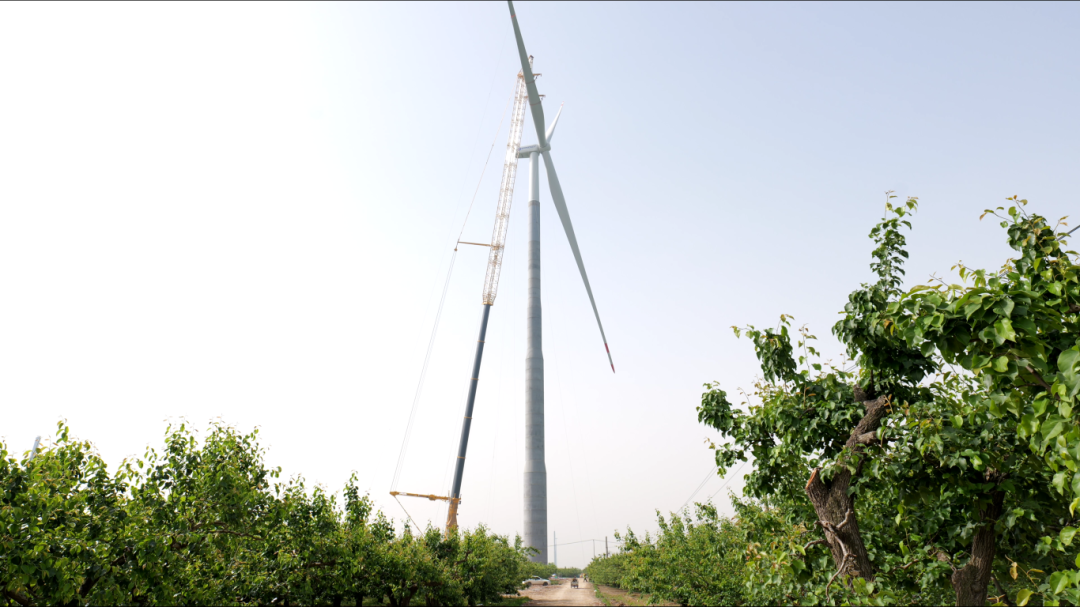 w88win优德(中国)官方网站