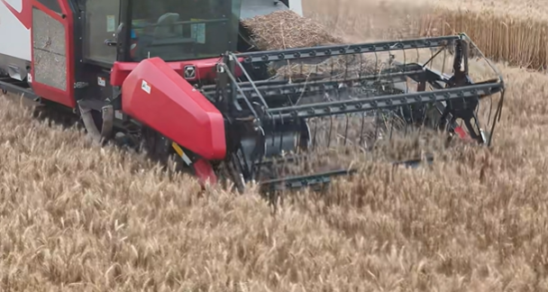 w88win优德(中国)官方网站