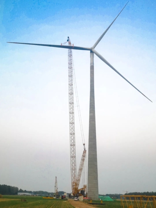 w88win优德(中国)官方网站