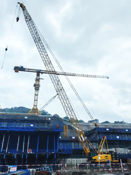 w88win优德(中国)官方网站