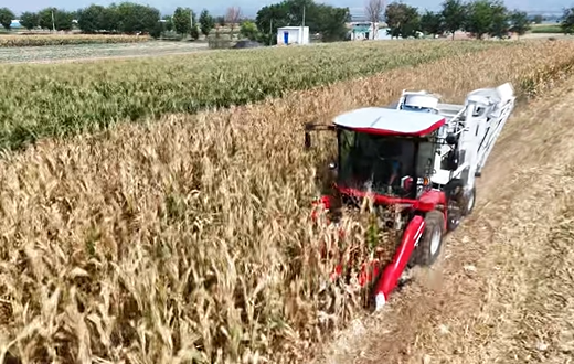 w88win优德(中国)官方网站