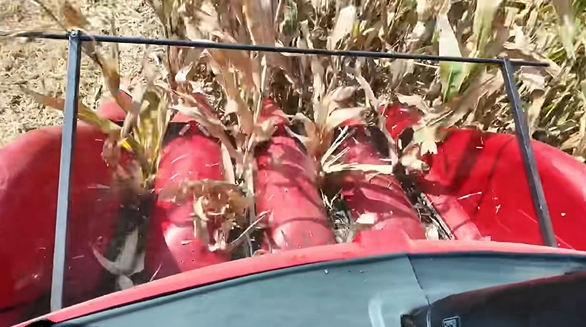 w88win优德(中国)官方网站