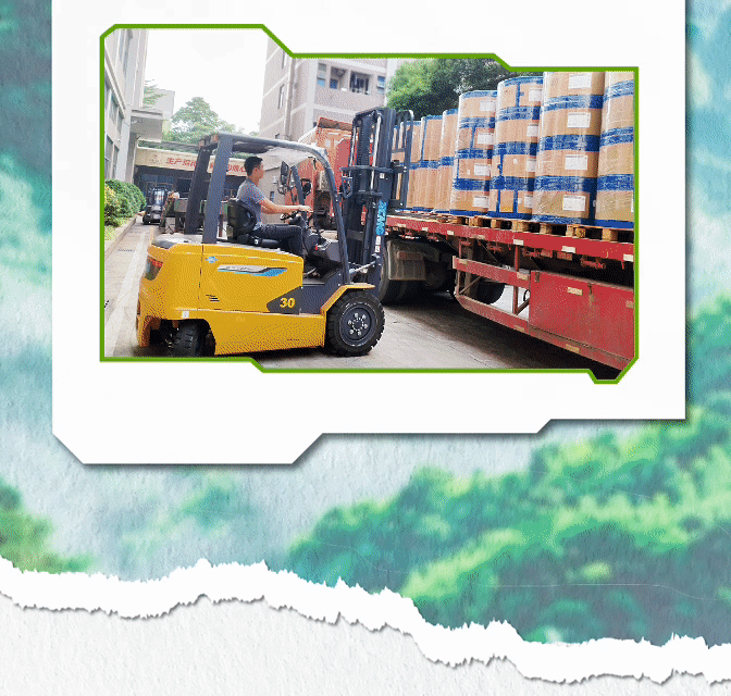 w88win优德(中国)官方网站