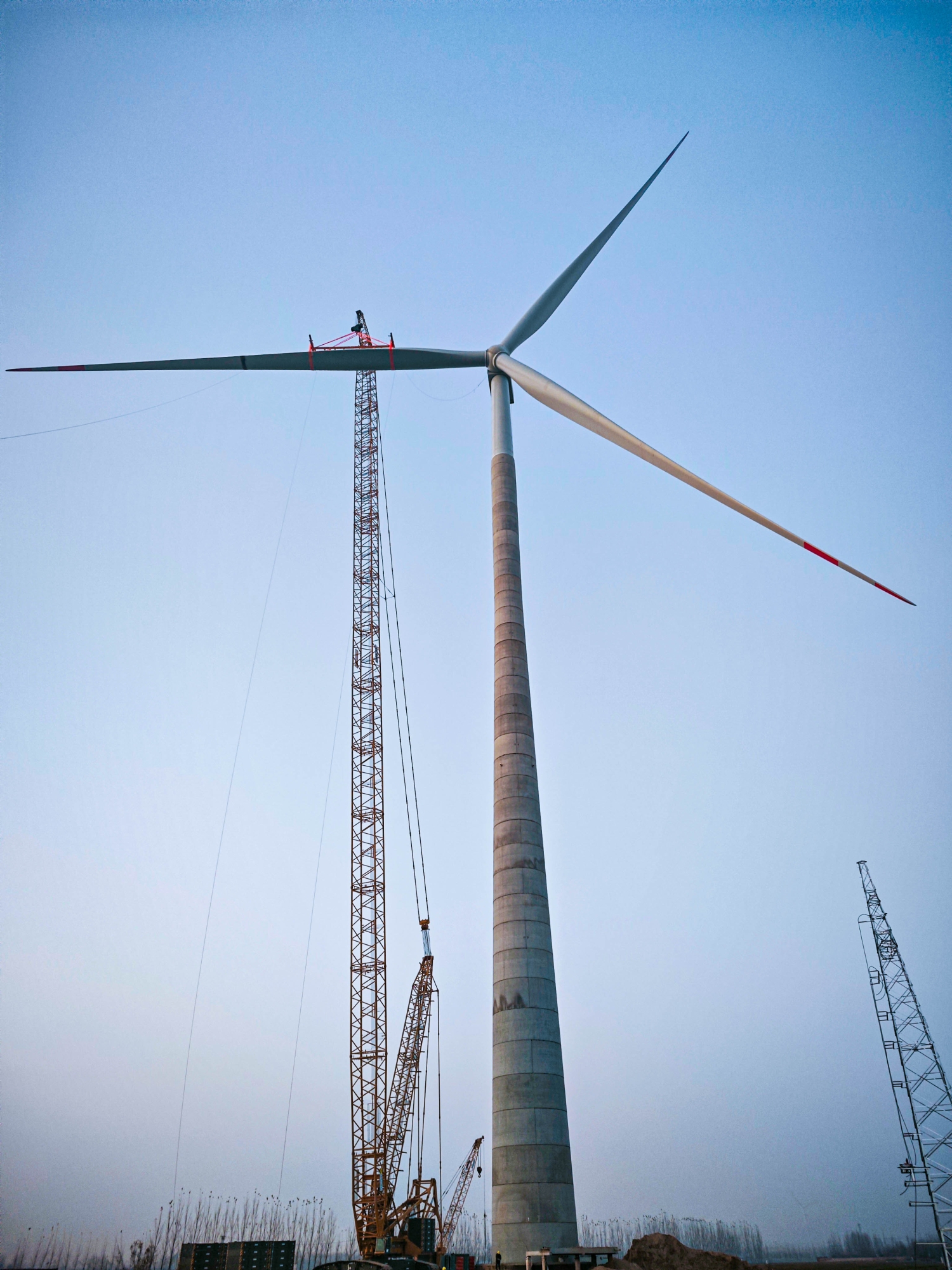 w88win优德(中国)官方网站