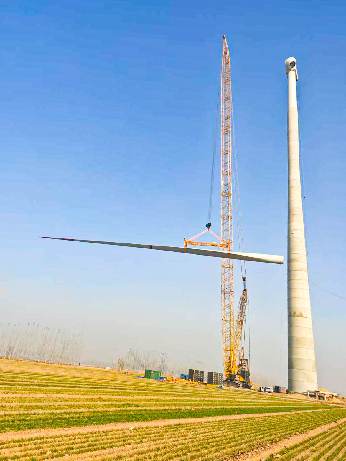 w88win优德(中国)官方网站