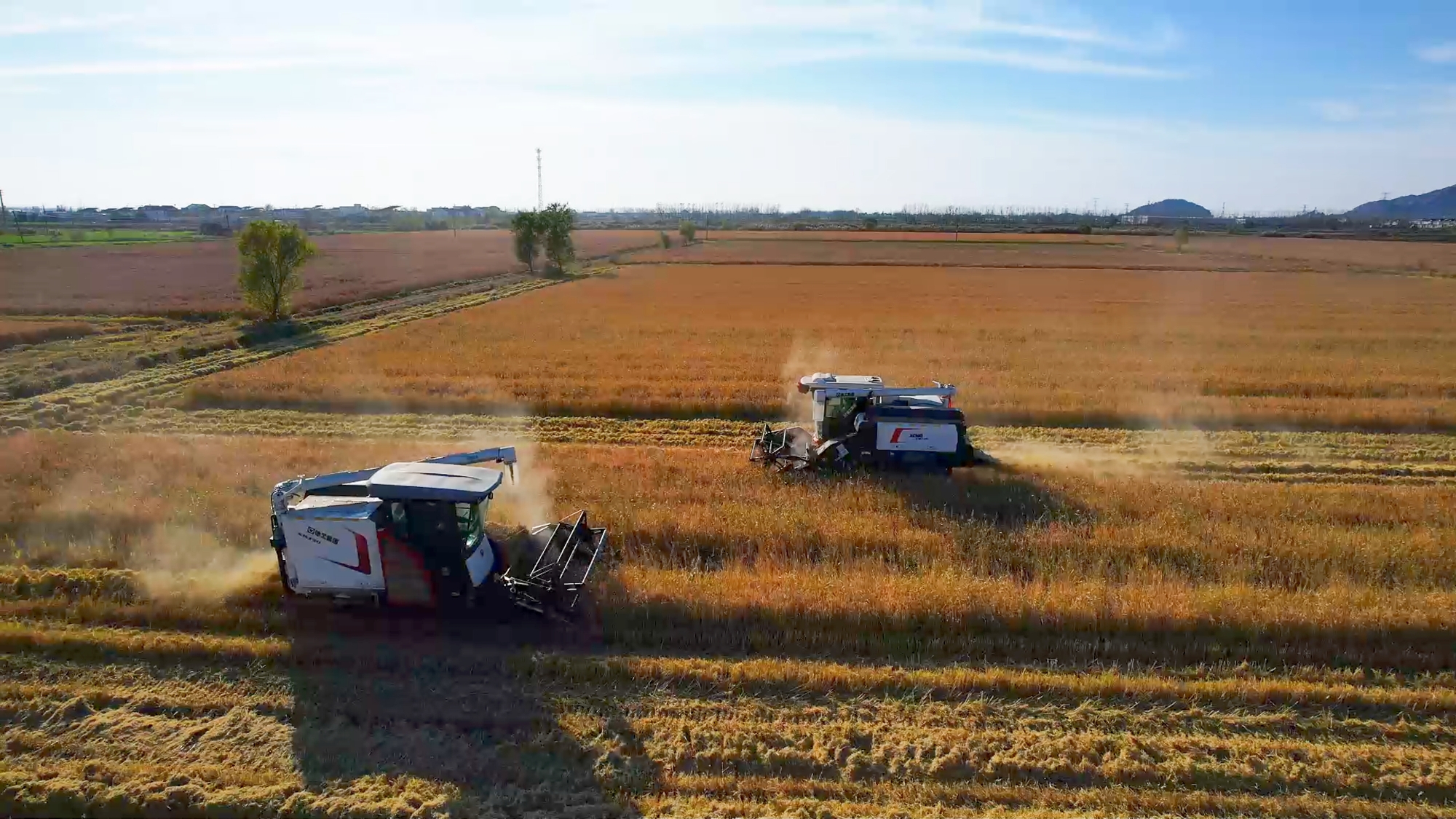 w88win优德(中国)官方网站