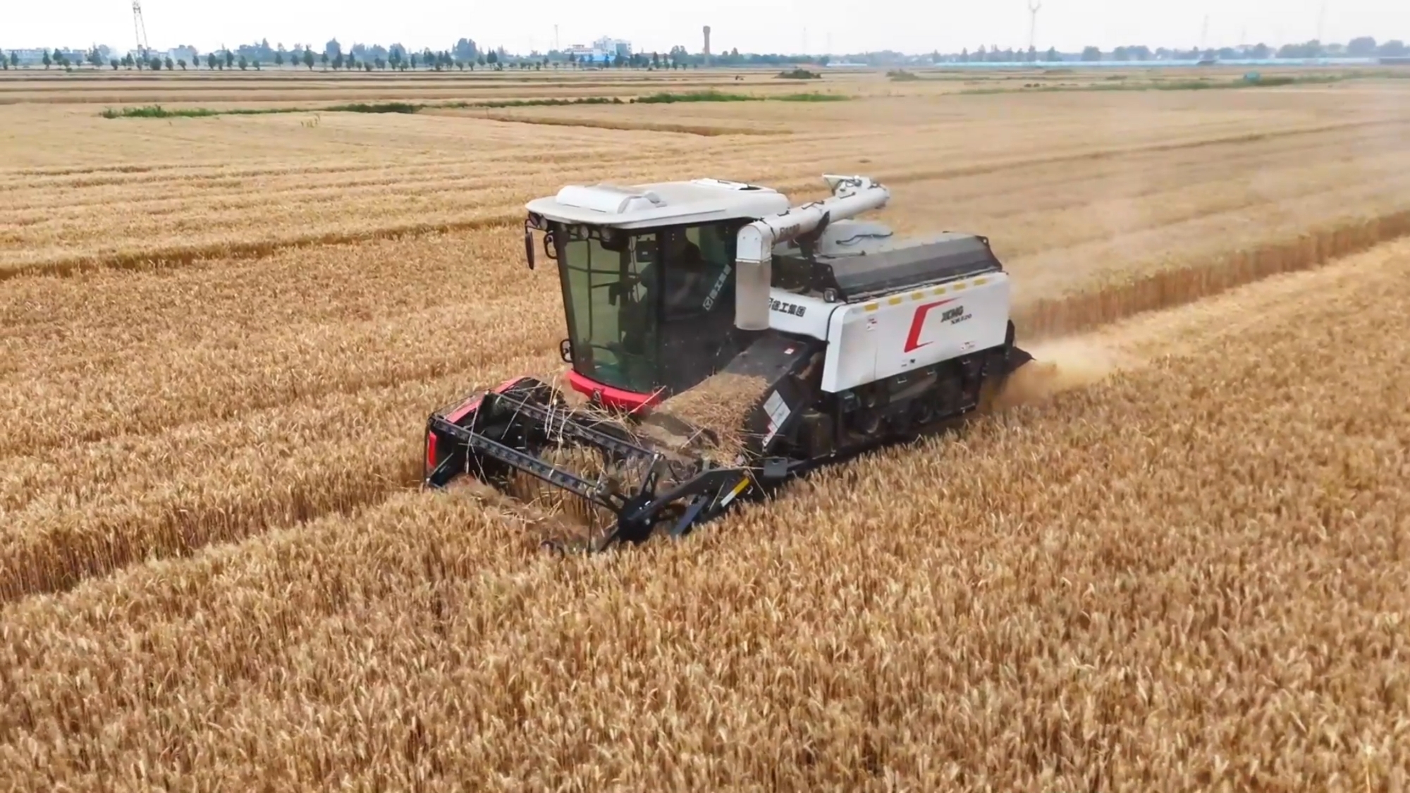 w88win优德(中国)官方网站