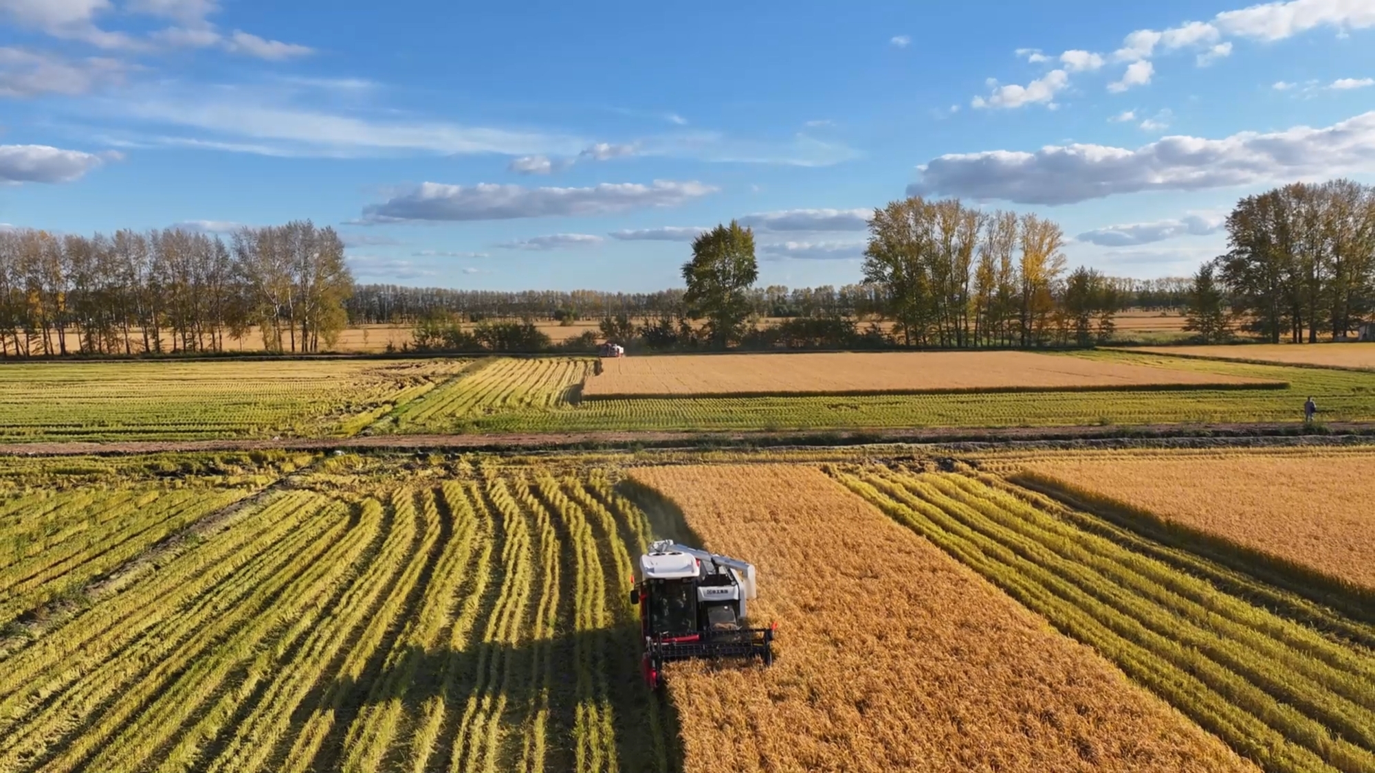 w88win优德(中国)官方网站