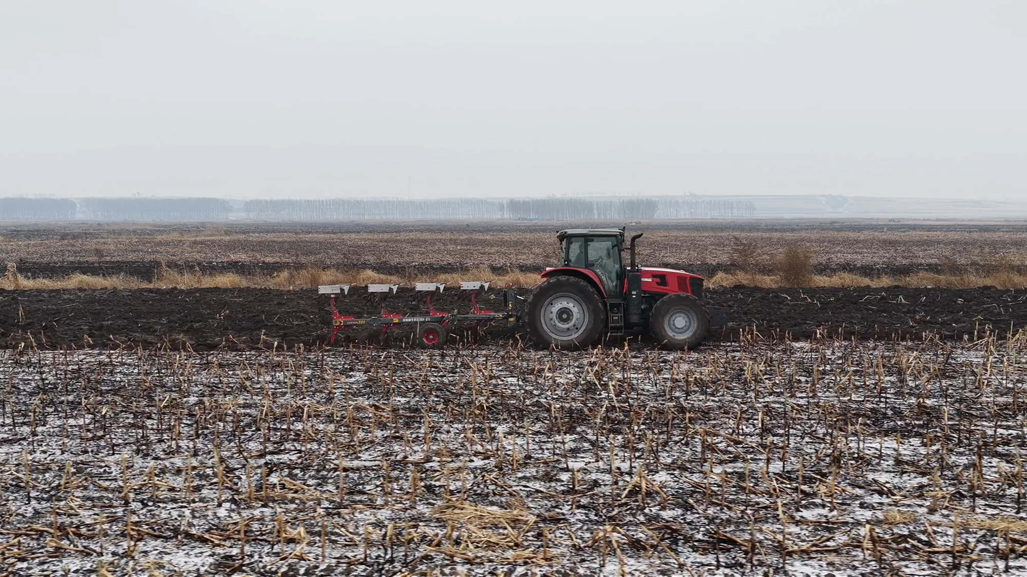 w88win优德(中国)官方网站