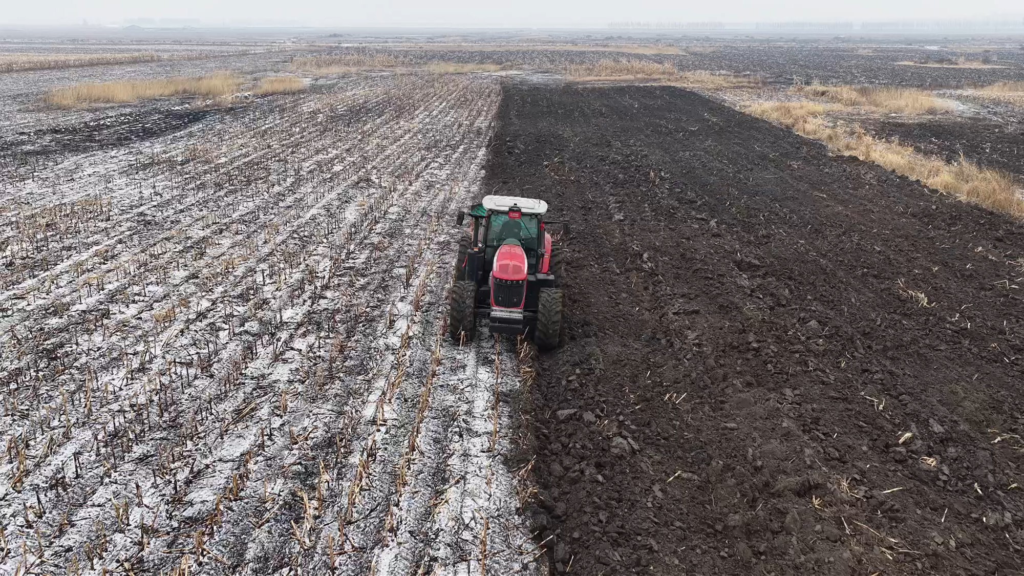 w88win优德(中国)官方网站