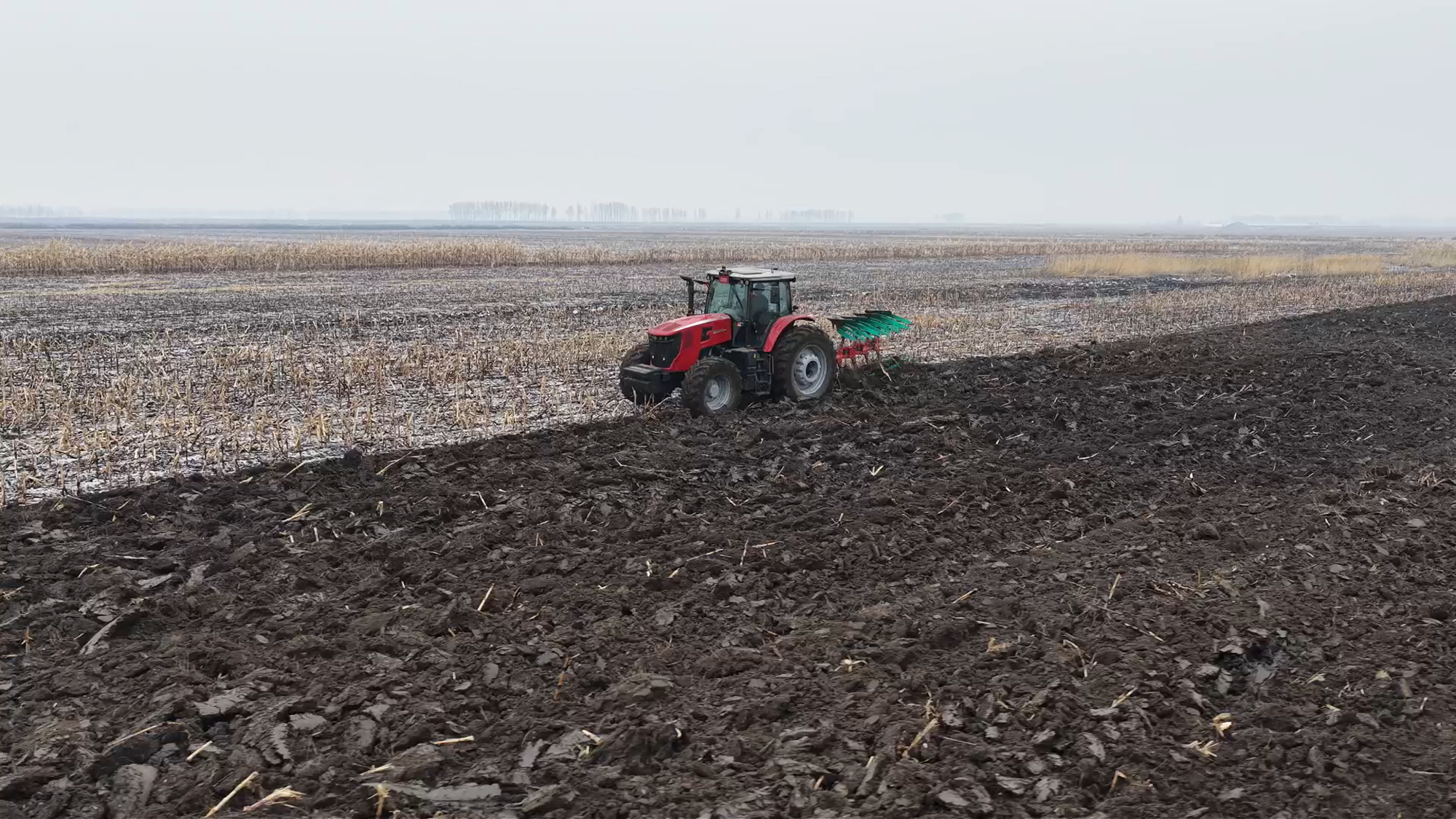 w88win优德(中国)官方网站