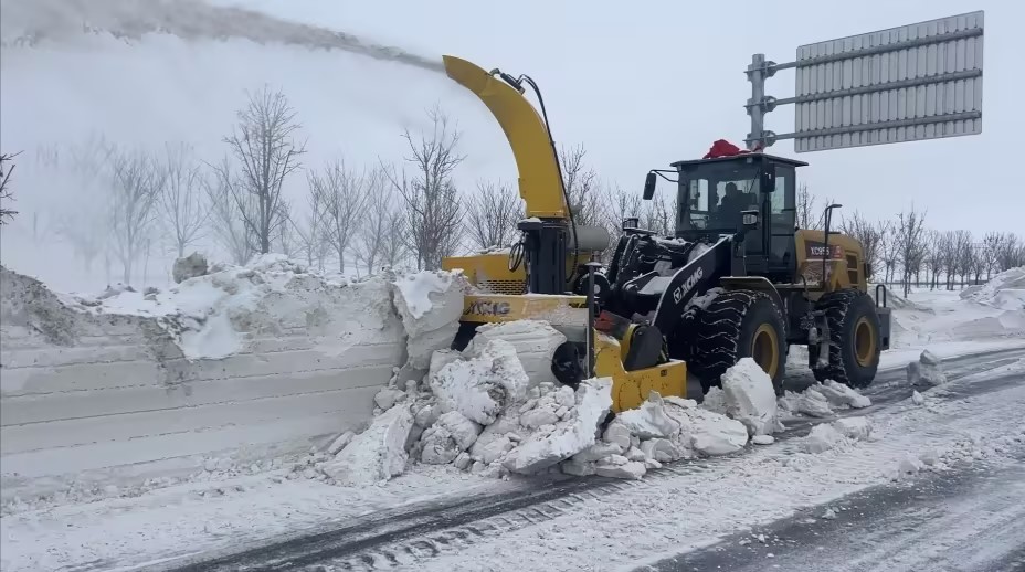 w88win优德(中国)官方网站