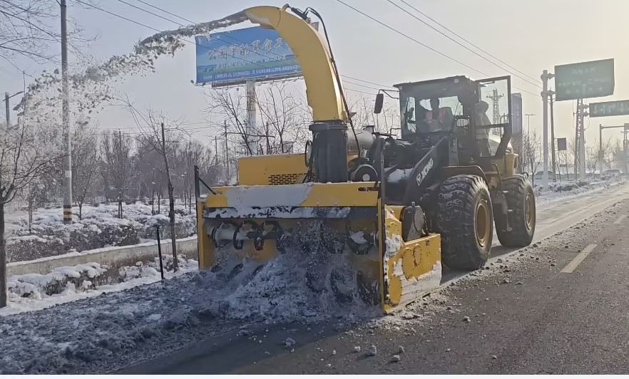 w88win优德(中国)官方网站