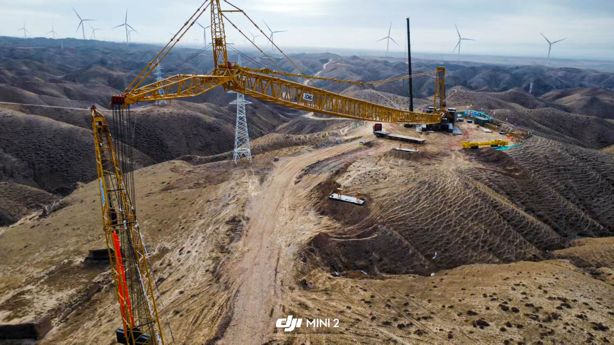 w88win优德(中国)官方网站