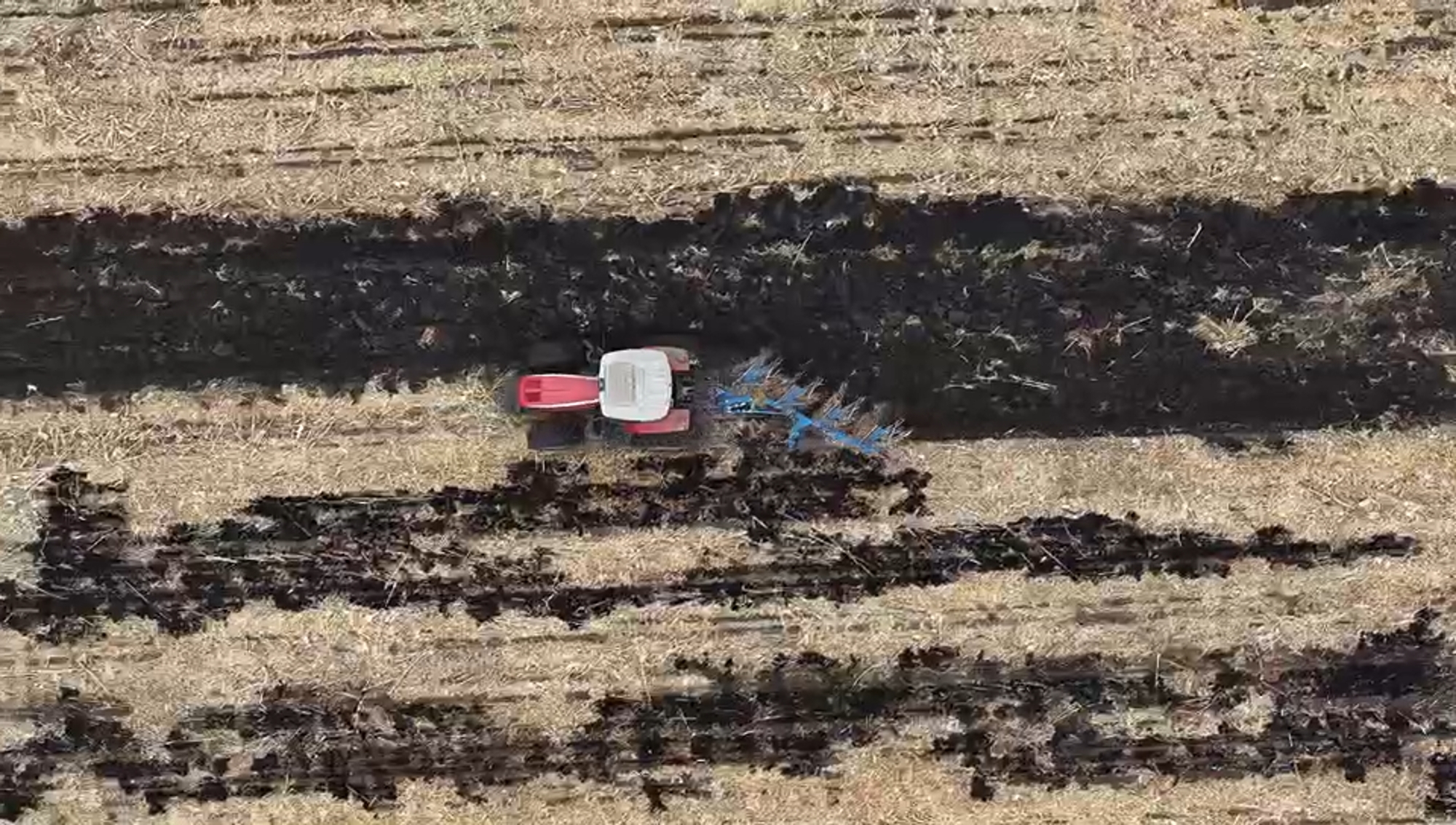 w88win优德(中国)官方网站