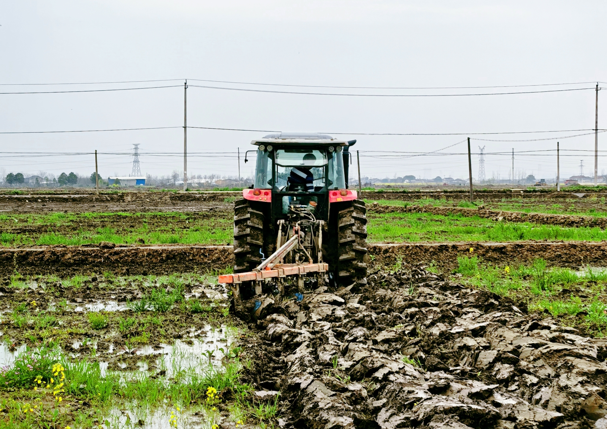 w88win优德(中国)官方网站